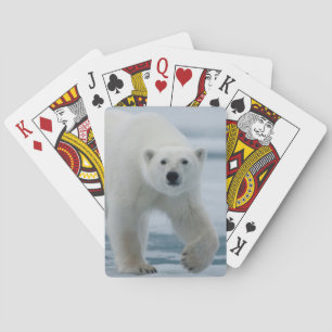 Eisbär, Ursus Maritimus, Erwachsener Spielkarten