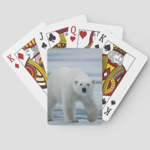 Eisbär, Ursus Maritimus, Erwachsener Spielkarten