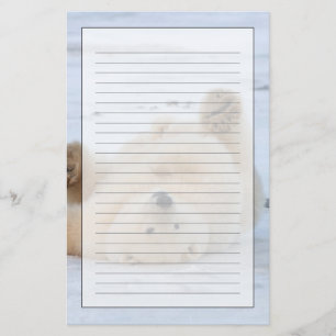 Eisbär, Ursus maritimus, Jungtier rollt 3 Briefpapier