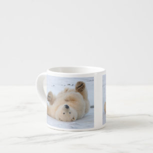 Eisbär, Ursus maritimus, Jungtier rollt 3 Espressotasse