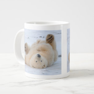 Eisbär, Ursus maritimus, Jungtier rollt 3 Jumbo-Tasse
