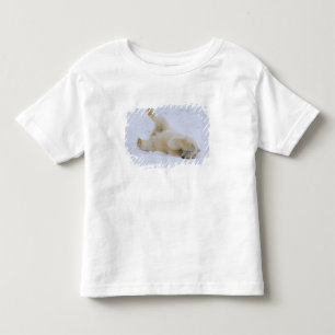 Eisbär, Ursus maritimus, Jungtier rollt Kleinkind T-shirt