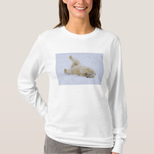 Eisbär, Ursus maritimus, Jungtier rollt T-Shirt