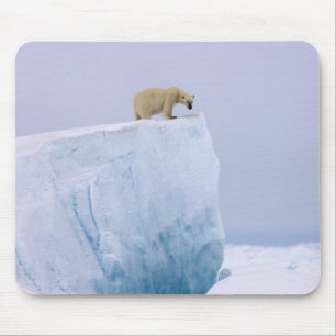 Eisbär, Ursus maritimus Mousepad