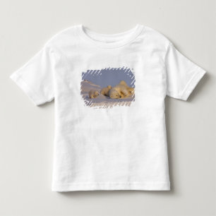 Eisbär, Ursus maritimus, Sauen spielen Kleinkind T-shirt