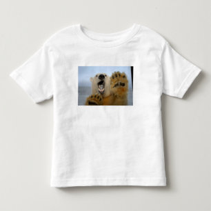 Eisbär, Ursus maritimus, sieht seltsam aus Kleinkind T-shirt