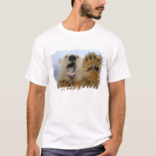 Eisbär, Ursus maritimus, sieht seltsam aus T-Shirt