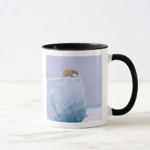 Eisbär, Ursus maritimus Tasse