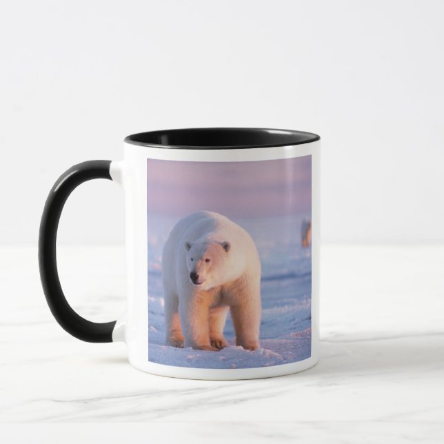 Eisbär, Ursus maritimus Tasse (Links)