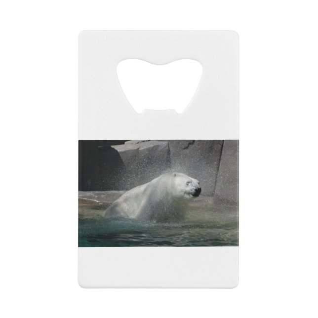 Eisbär vom Wasser schütteln Geldbeutel Flaschenöffner (Vorderseite)