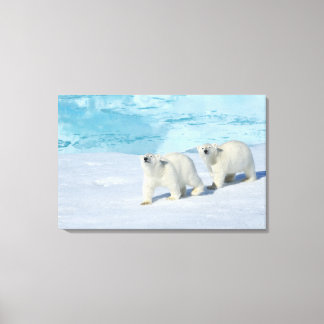 Eisbär, zwei Tassen auf Packeis, Ursus Leinwanddruck