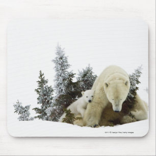Eisbären an Wapusk Nationalpark Mousepad