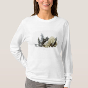 Eisbären an Wapusk Nationalpark T-Shirt