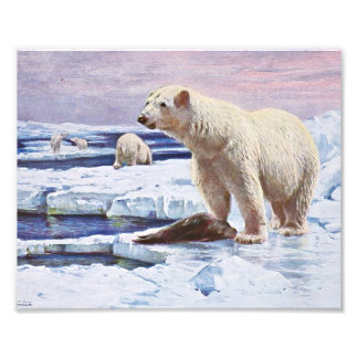 Eisbären auf Eisschollen Kunst Fotodruck