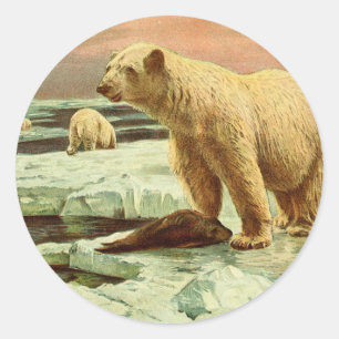Eisbären auf Gletschern, Vintage Kunst des 20. Jah Runder Aufkleber