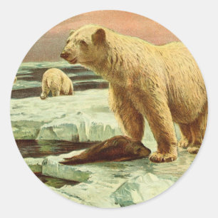 Eisbären auf Gletschern, Vintage Kunst des 20. Jah Runder Aufkleber