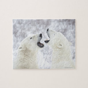 Eisbären, die im Schnee spielen Puzzle
