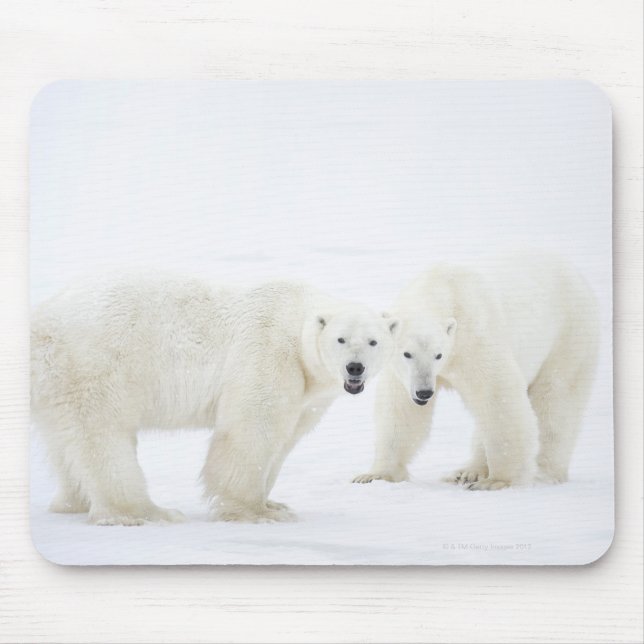 Eisbären, die nach 2 Jahren auf Schnee stehend sin Mousepad (Vorne)