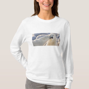 Eisbären-Kuss T-Shirt