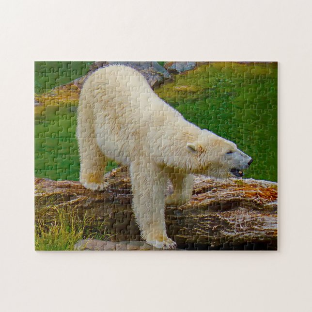 Eisbären. Puzzle (Horizontal)