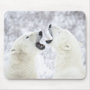 Eisbären spielen im Schnee. Mousepad
