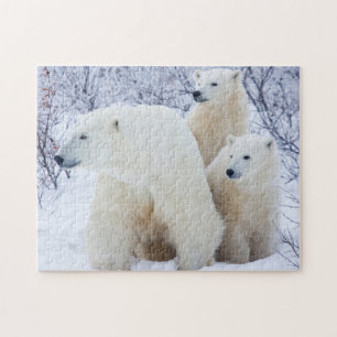 Eisbären und zwei Junge Puzzle