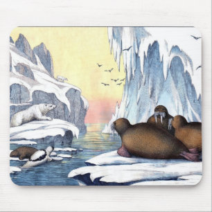 Eisbären, Walrosse und Robben Mousepad