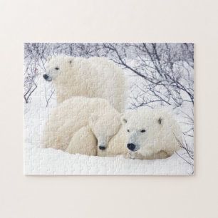 Eisbären Weibchen und zwei Junge 3 Puzzle