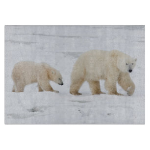 Eisbären Weibchen und zwei Junge Schneidebrett