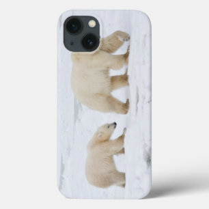 Eisbären weiblich und zwei Junge 2 Case-Mate iPhone Hülle