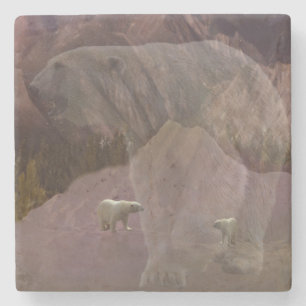 Eisbärenberg, Steinberg Untersetzer