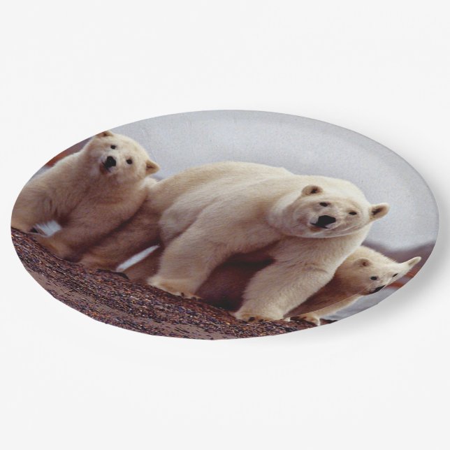 Eisbärenfamilie Pappteller (Schrägansicht)