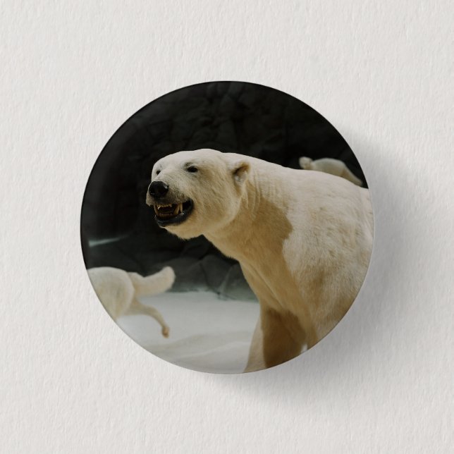 Eisbärengras Button (Vorderseite)