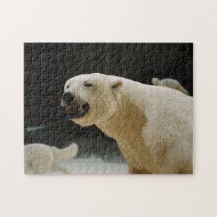 Eisbärengras Puzzle