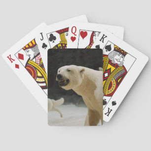 Eisbärengras Spielkarten