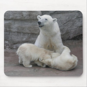 Eisbärenjungen Mousepad