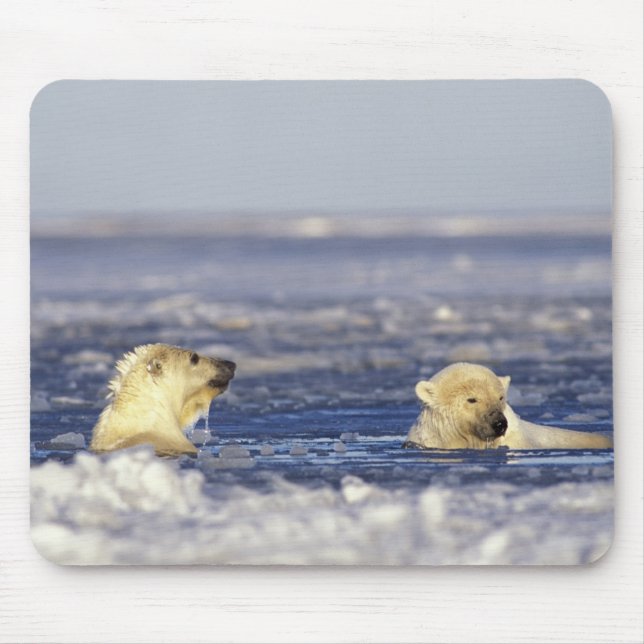 Eisbärenjungen spielen mousepad (Vorne)