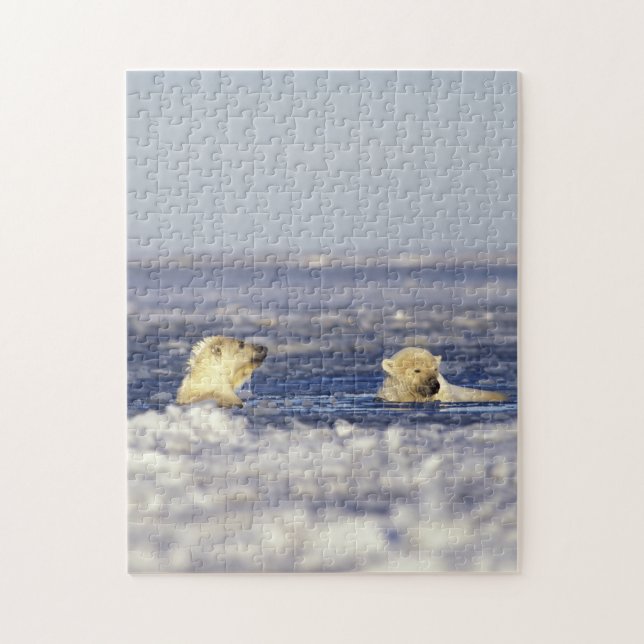 Eisbärenjungen spielen puzzle (Vertikal)