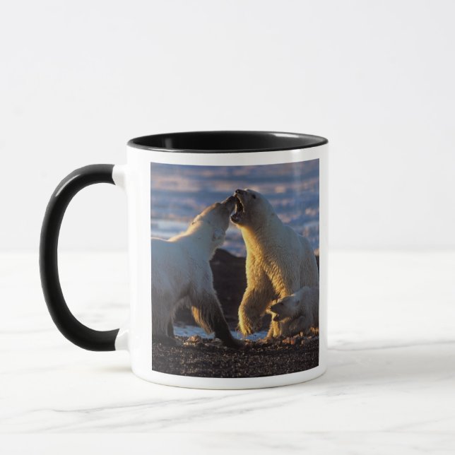 Eisbärensäen mit Krübchen an der Seite, 1002 Küste Tasse (Links)