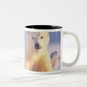 Eisbärensau mit Keule auf Packeis Zweifarbige Tasse