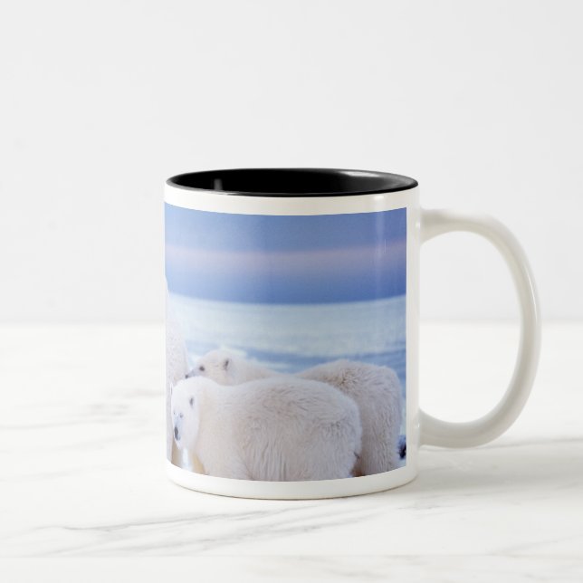 Eisbärensau mit Naben Zweifarbige Tasse (Rechts)