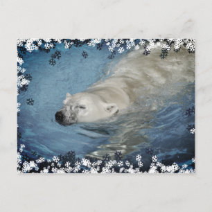 Eisbärenschwimmen Postkarte