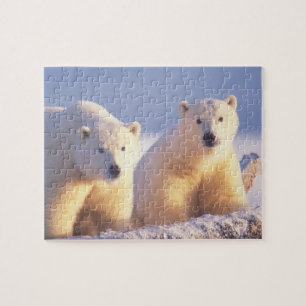 Eisbärin mit Jungtier auf Packeis Puzzle