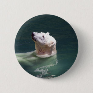 Eisbärstillstehen Button