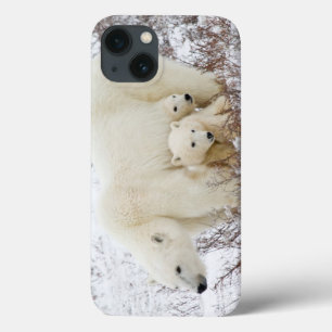 Eisbärweibchen und zwei Junge Case-Mate iPhone Hülle