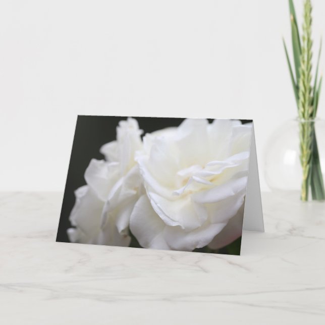 Eisberg-Rosen-Beileid Karte (Vorderseite)