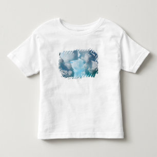 Eisberge vor der Südspitze Süd Kleinkind T-shirt