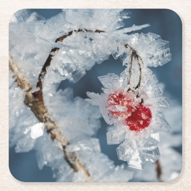 Eisberries Rechteckiger Pappuntersetzer (Vorderseite)