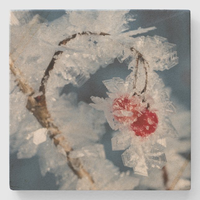 Eisberries Steinuntersetzer (Vorderseite)