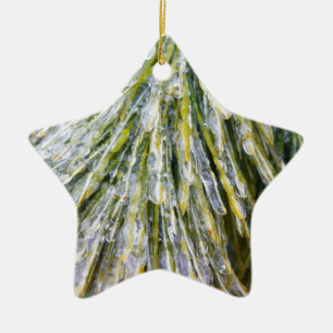 Eisbeschichtete Kiefernneedles Winter Botanisch Keramikornament